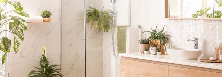 modernes Bad mit verschiedenen Pflanzen
